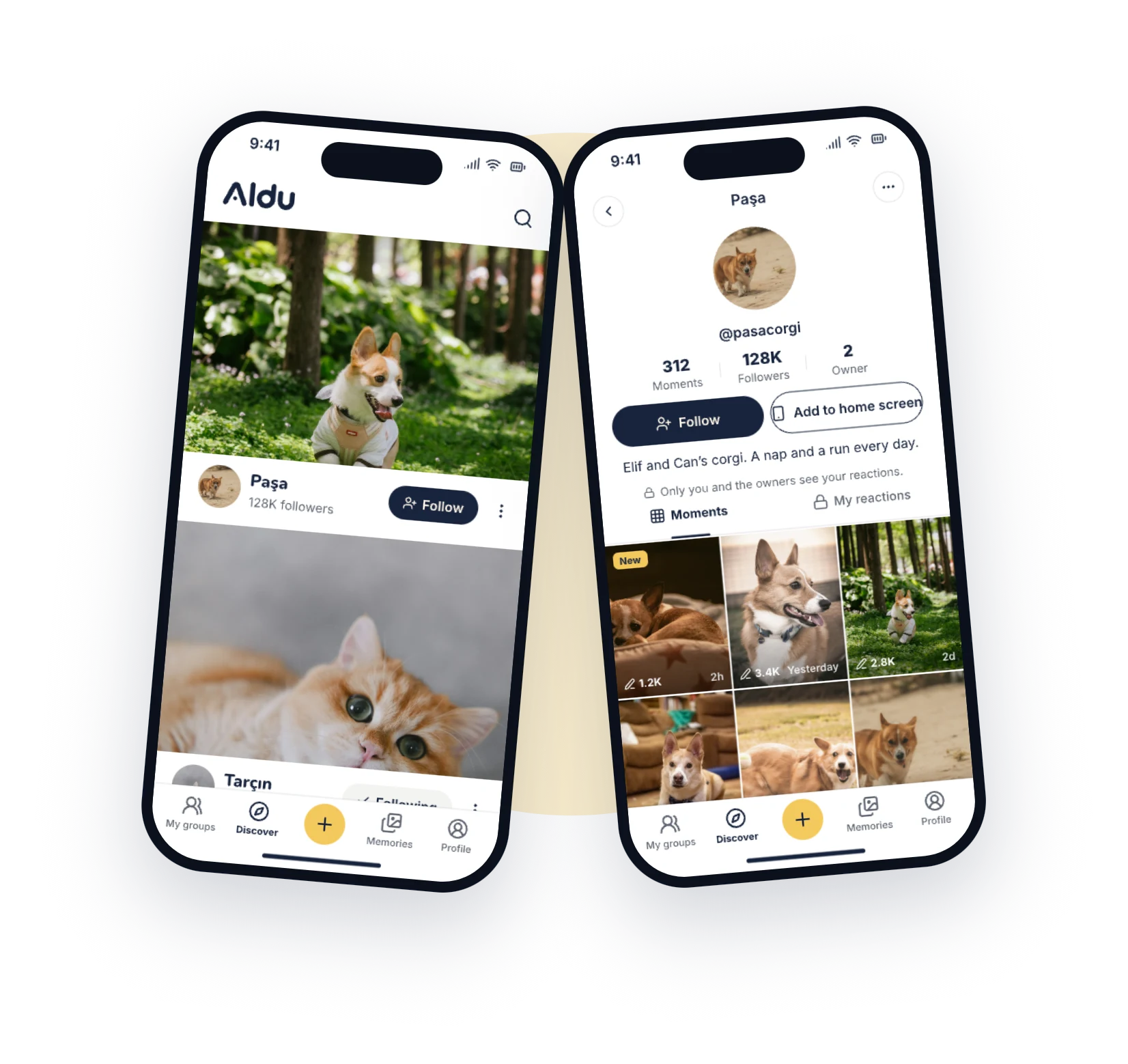 Discover feed and a public pet profile in Aldu